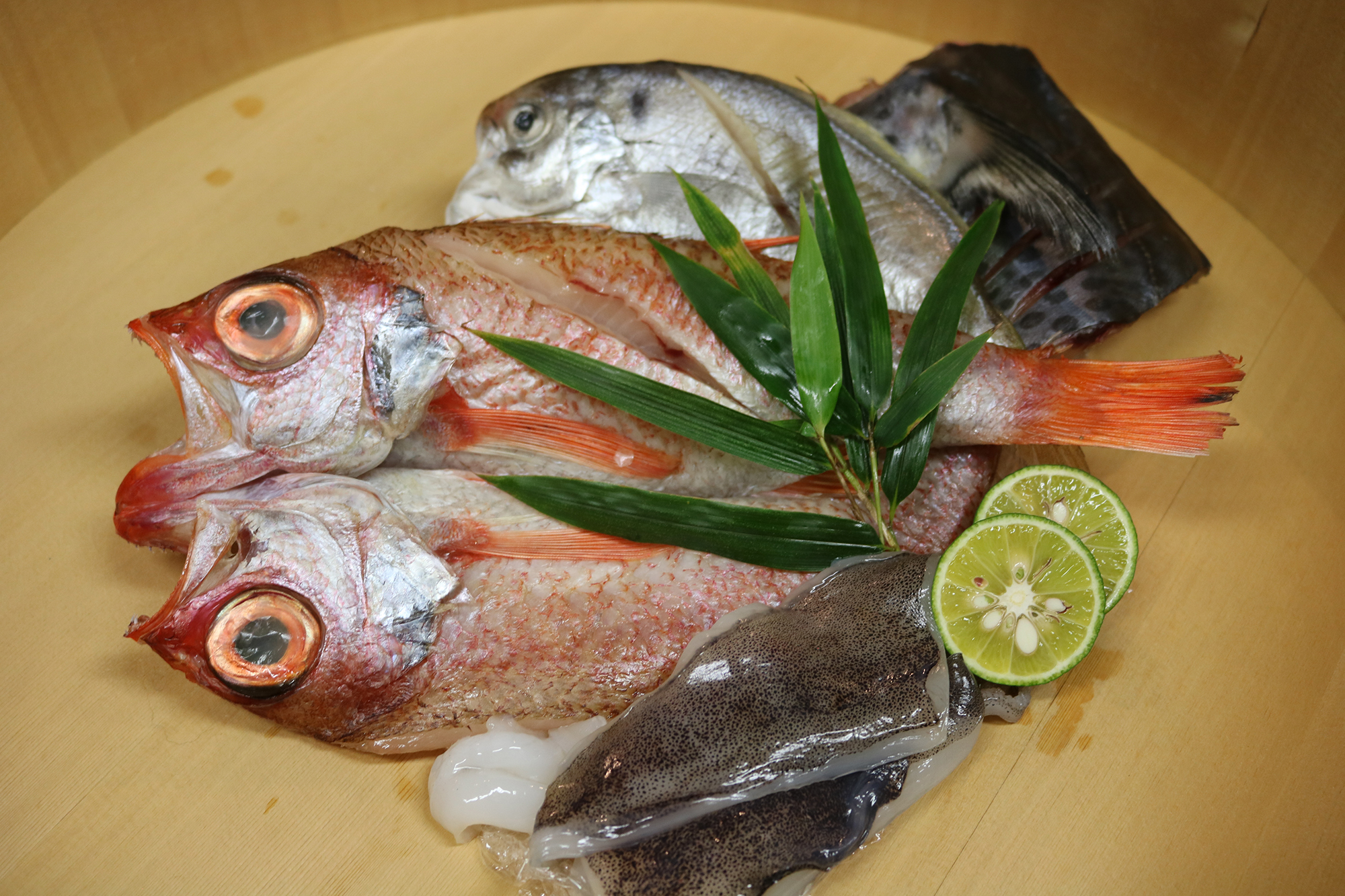 徳島県 特選一夜干しセット 高級魚のどぐろ入り 産地直送 同梱不可